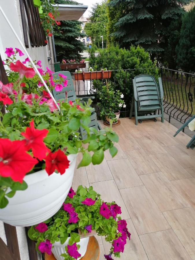 Apartament Głębia Dąbrówno Zewnętrze zdjęcie