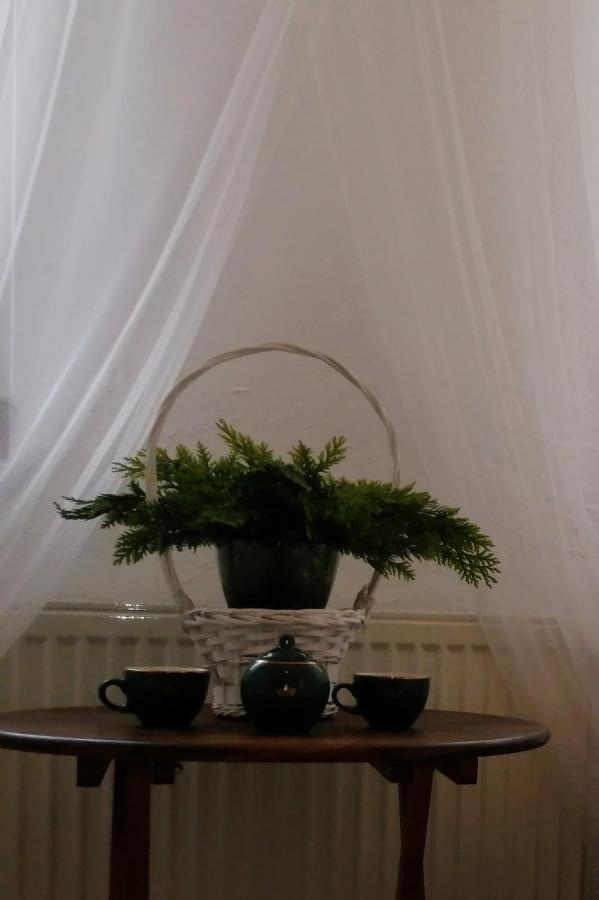 Apartament Głębia Dąbrówno Zewnętrze zdjęcie